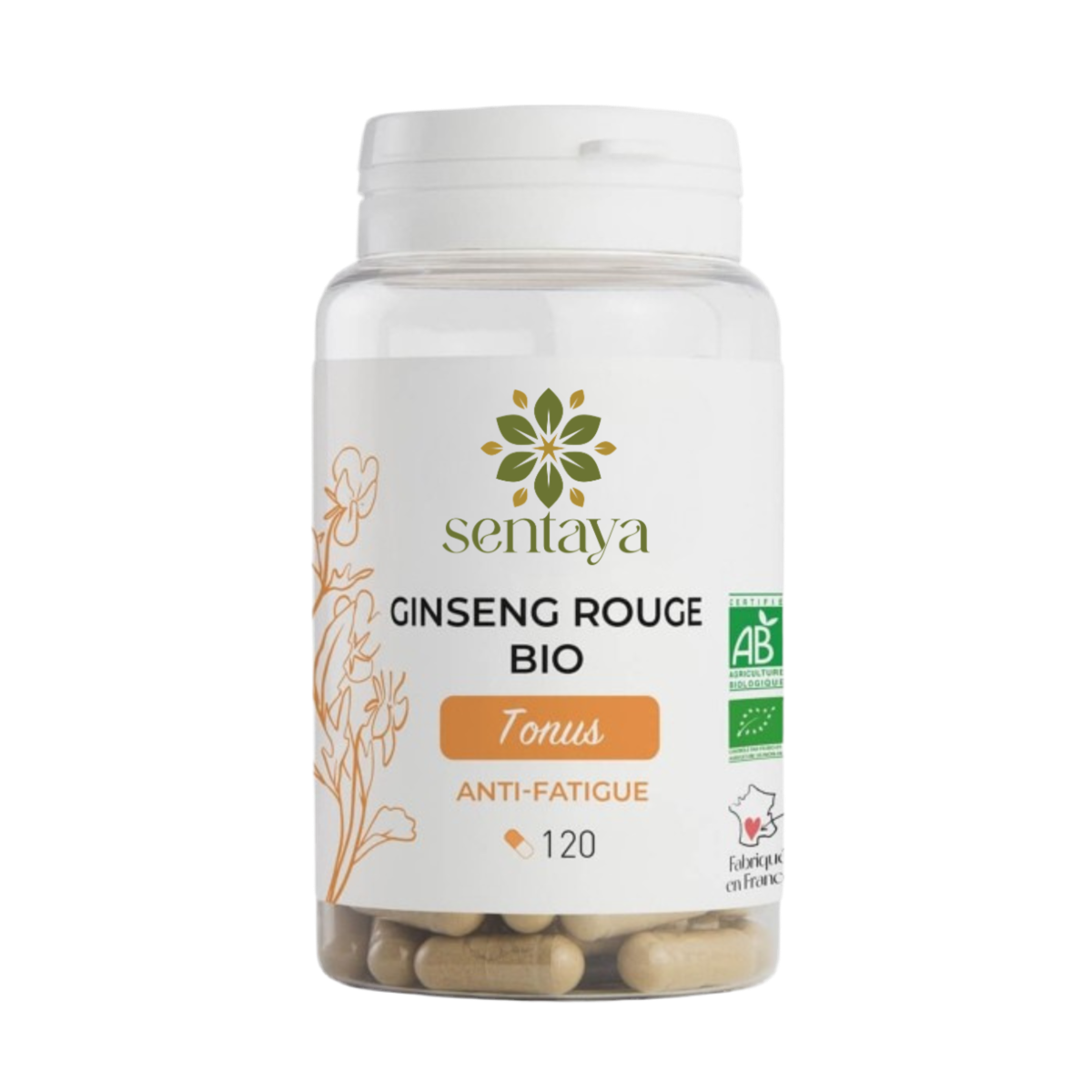 GINSENG ROUGE