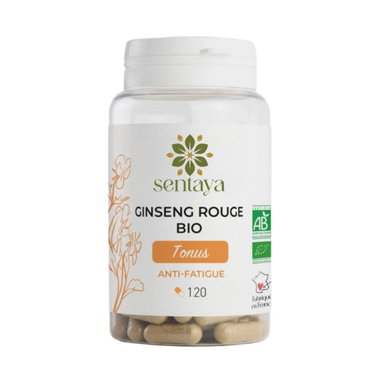 GINSENG ROUGE
