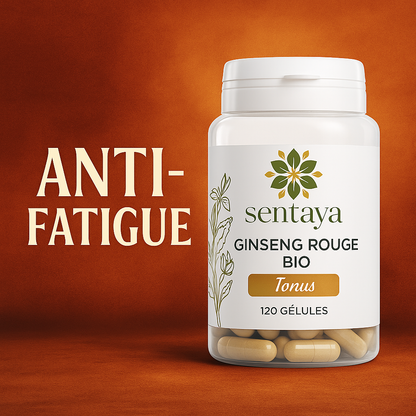 GINSENG ROUGE